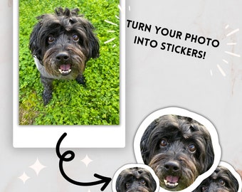 Custom Photo Sticker, Personalized Sticker, Custom Stickers, Water Bottle Sticker, Laptop Sticker, Your Own Photo, Waterproof