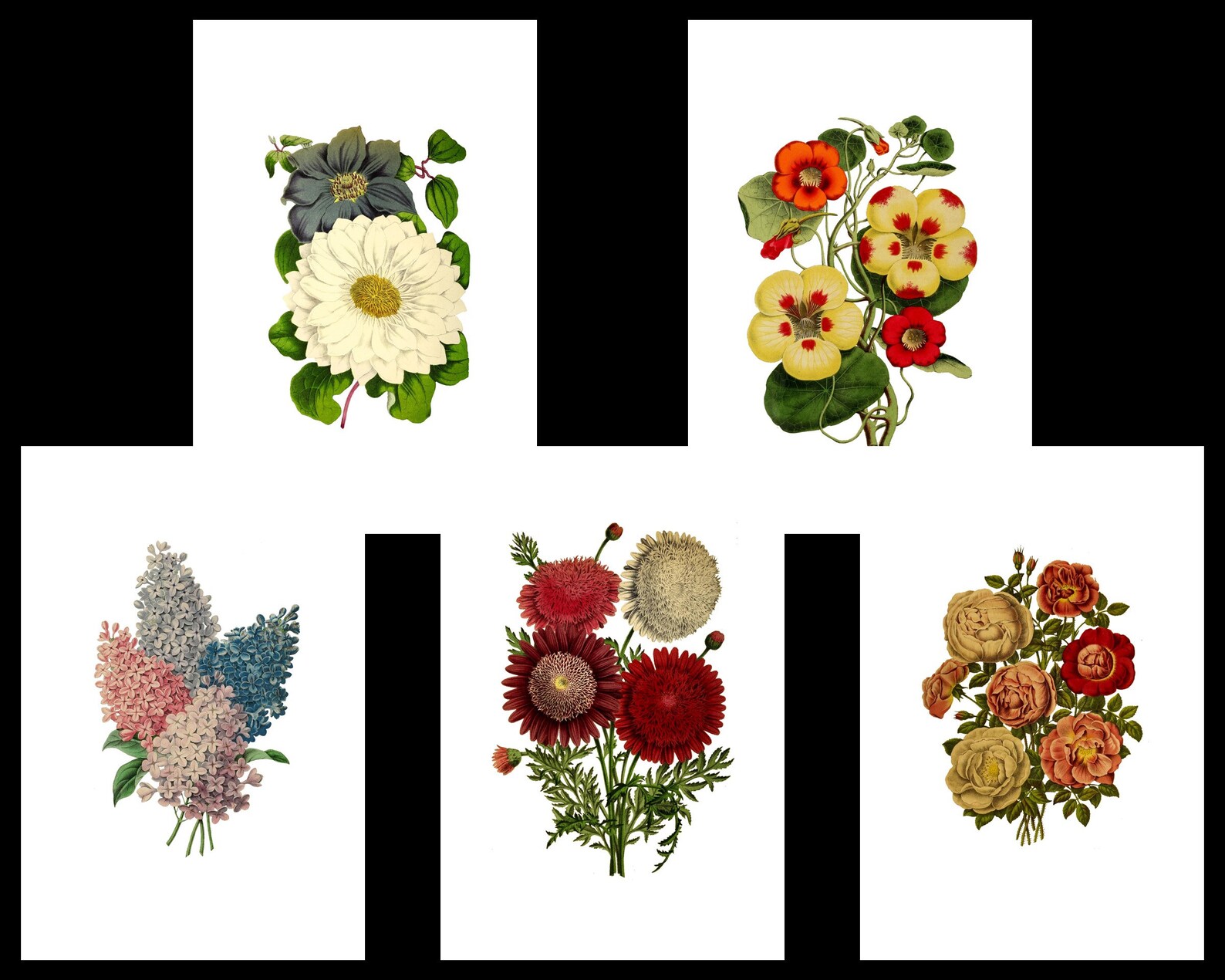 Printable floral note cards 50 flower designs blank inside | Etsy