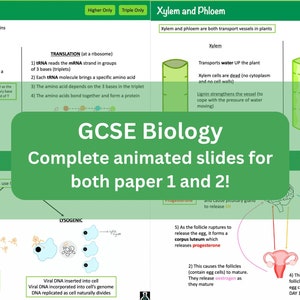 May include: A green and white poster with the text "GCSE Biology Complete animated slides for both paper 1 and 2!" in a large green box. The poster includes diagrams and text about protein synthesis, viruses, xylem and phloem, and the menstrual cycle.