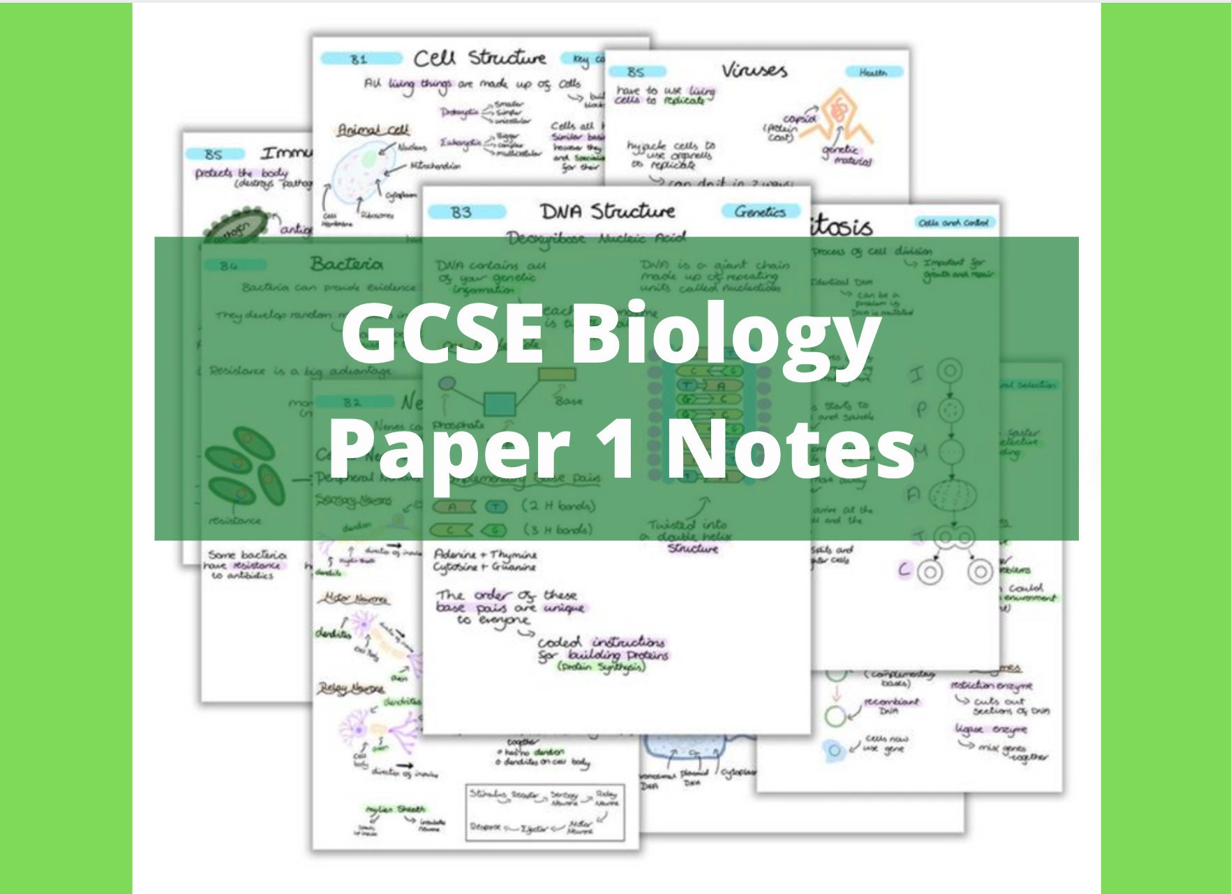 Edexcel GCSE Biology Paper 1 Notes | Etsy