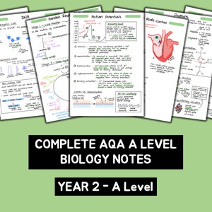 Op de afbeelding: Een set kleurrijke handgeschreven notities op wit papier met de titel "COMPLETE AQA A LEVEL BIOLOGY NOTES YEAR 2 - A Level". De notities behandelen onderwerpen als hartspiercellen, DNA, actiepotentialen en hartslagregeling.