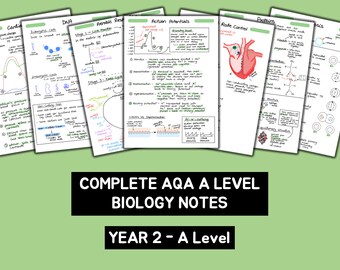 AQA A Level Biology Complete Notes - Year 2