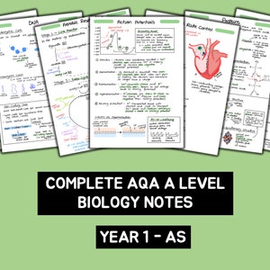 以下が含まれることがあります： 心臓のサイクル、DNA、好気性呼吸、活動電位、心拍数制御、ホルモン、遺伝学など、生物学に関する手書きのノート8ページのセット。ノートは黒、青、緑、赤、紫のインクで書かれており、図とグラフが含まれています。ページは扇形に配置され、下部に「COMPLETE AQA A LEVEL BIOLOGY NOTES YEAR 1 - AS」というテキストがあります。