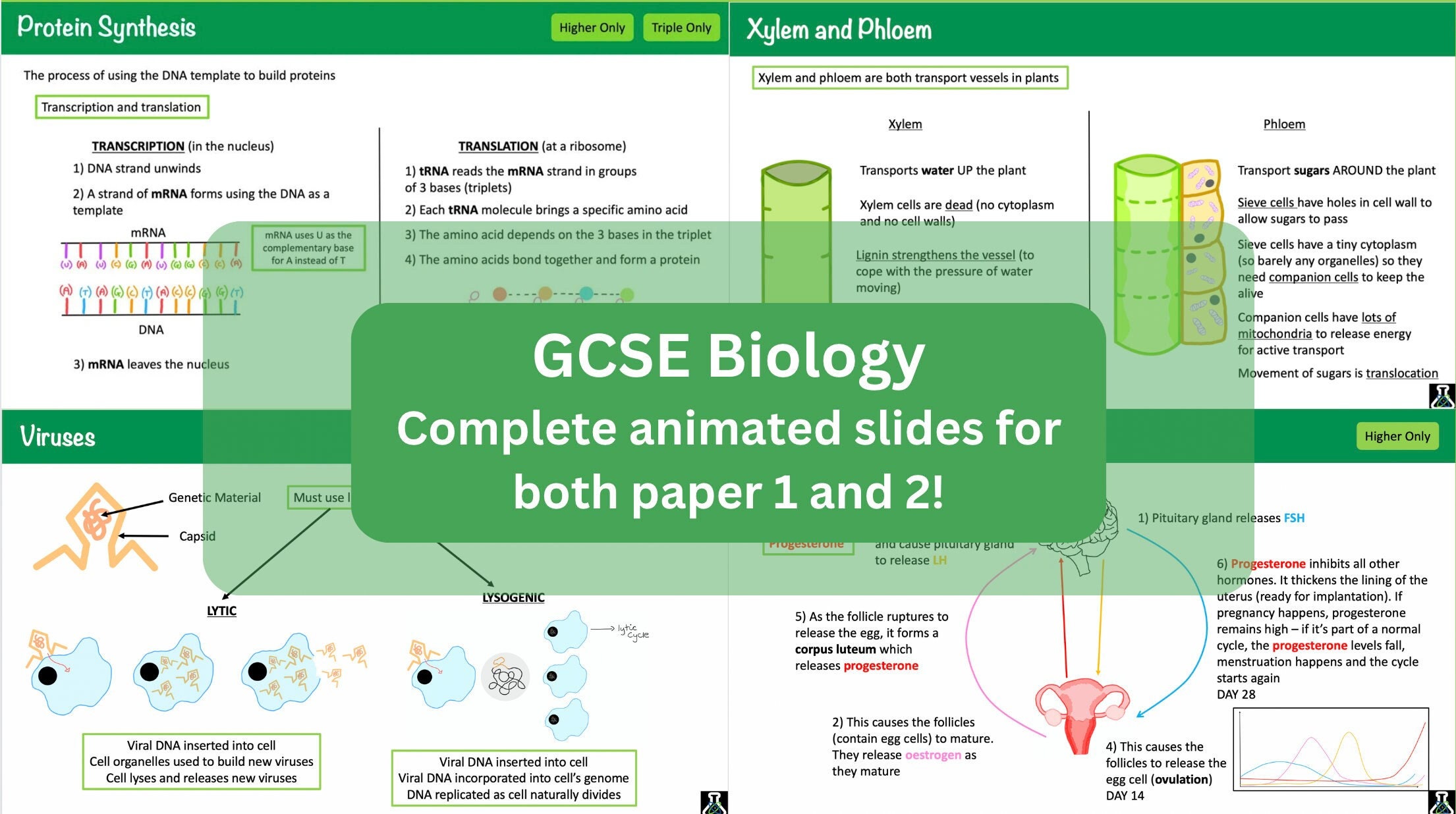 Edexcel gcse biology complete revision powerpoint etsy uk