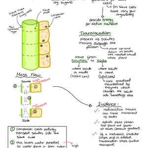 AQA A Level Biology Complete Notes - Year 1 (AS) - Etsy UK