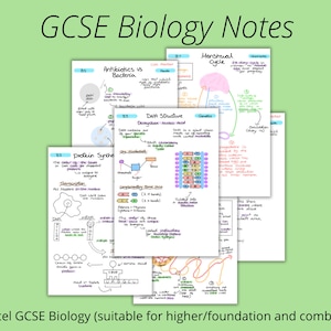 GCSE Biologie Papier 1 und 2 Notizen Bundle