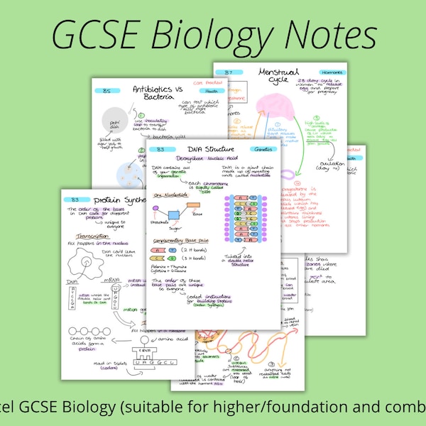 GCSE Biology Paper 1 and 2 Notes Bundle