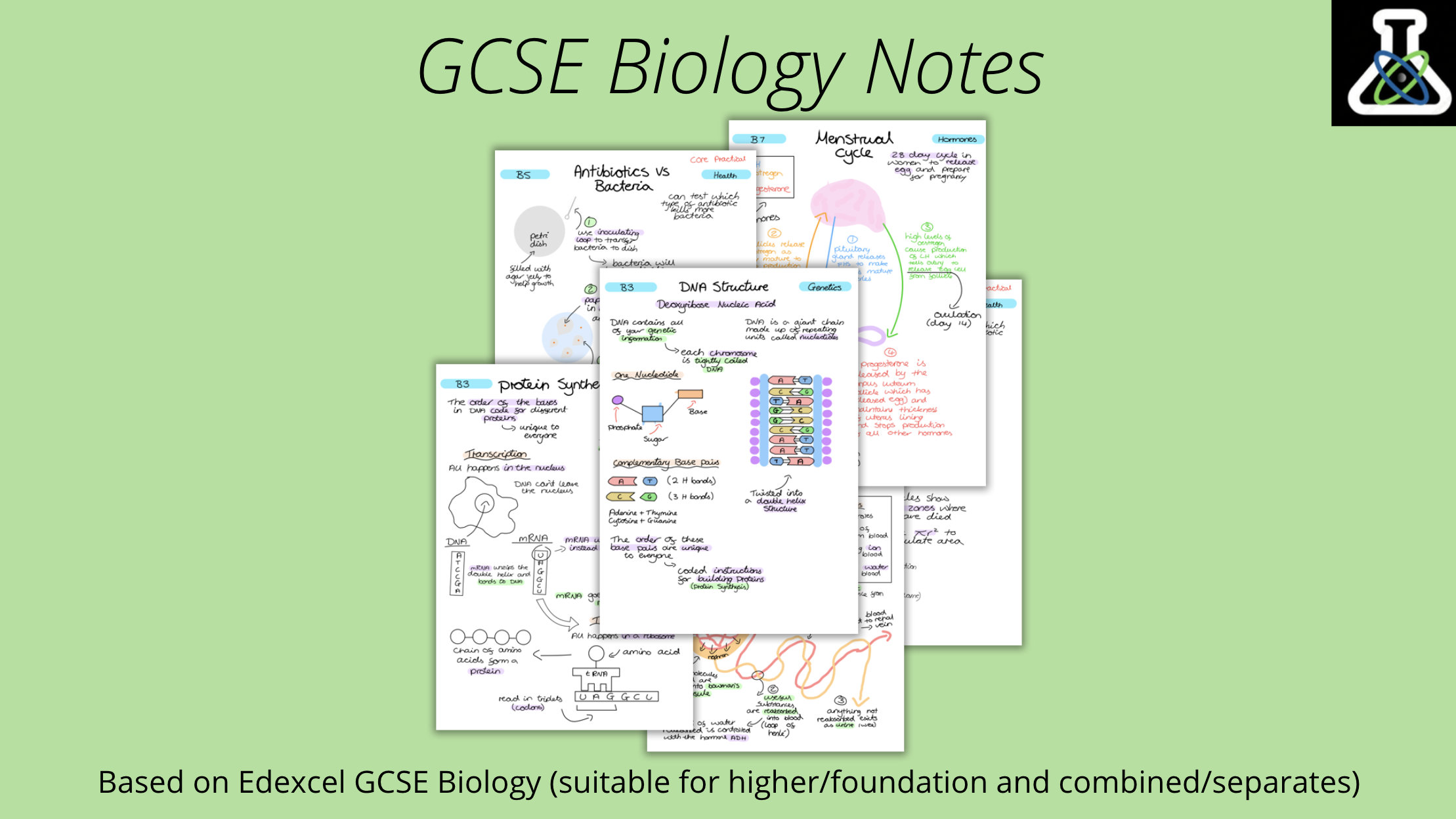 GCSE Biology Paper 1 And 2 Notes Bundle Etsy UK gcse-biology-paper-1-and-2-notes-bundle-etsy-uk