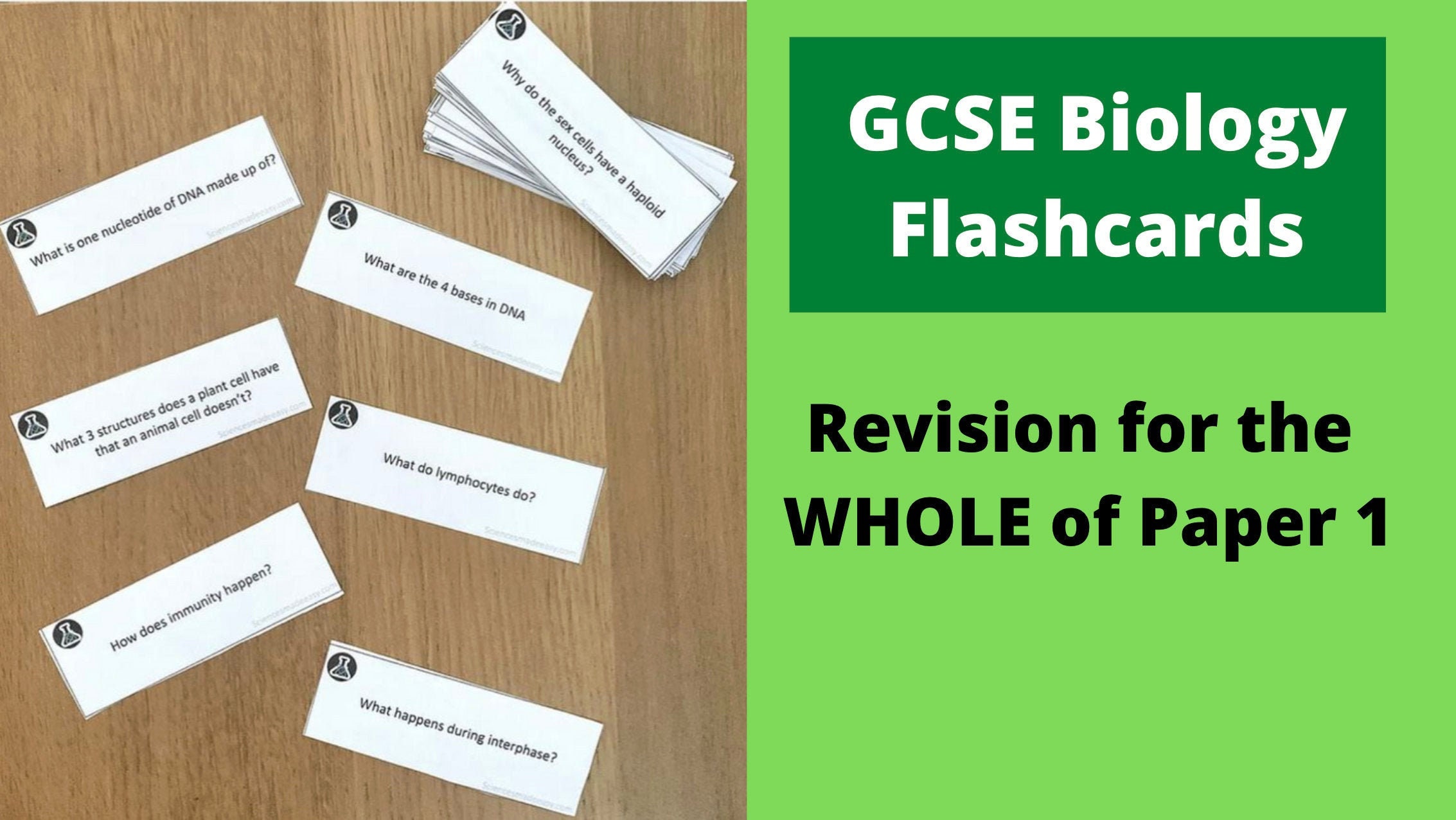 Edexcel GCSE Biology Paper 1 Flashcards Etsy