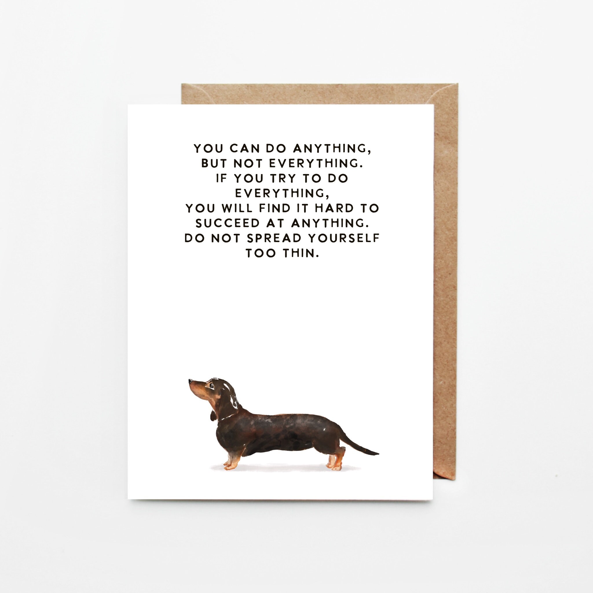 Everything dachshund 2025