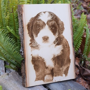 Custom Dog Portrait: Laser Engraved Pet Memorial on Wood (11x8&quot;)