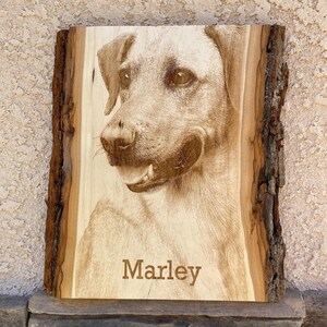 Personalized Dog Pet Memorial Portrait Laser Engraved Wood Plank, Preview Mockup image 18