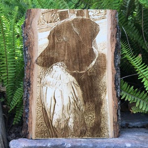 Hunting Dog Memorial Portrait Engraved on Wood Plank, Pet Loss Gift, Labrador Pointer, Preview Mockup
