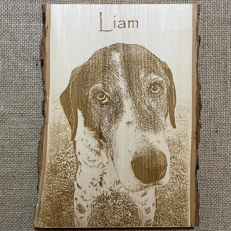 Personalized Dog Pet Memorial Portrait Laser Engraved Wood Plank, Preview Mockup image 16