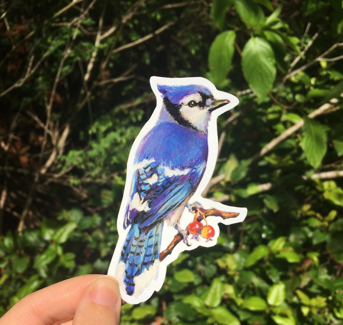 Blue Jay Vinyl Sticker Die Cut Sticker Laptop Decal Bird Etsy