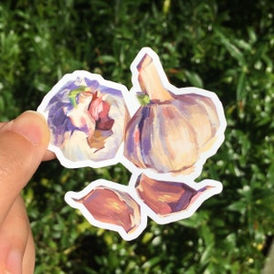 Garlic Waterproof Vinyl Sticker | Die Cut Sticker | Laptop Decal | food stickers