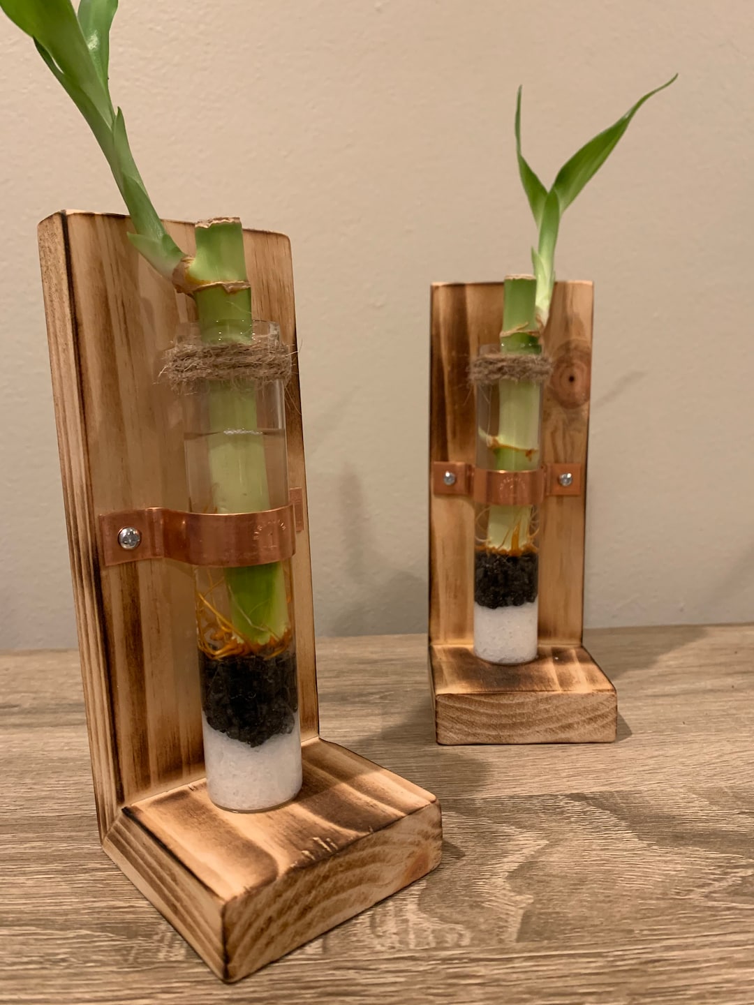 Lucky Bamboo Plant Holder Propagation Stand Book Ends Handmade Rustic