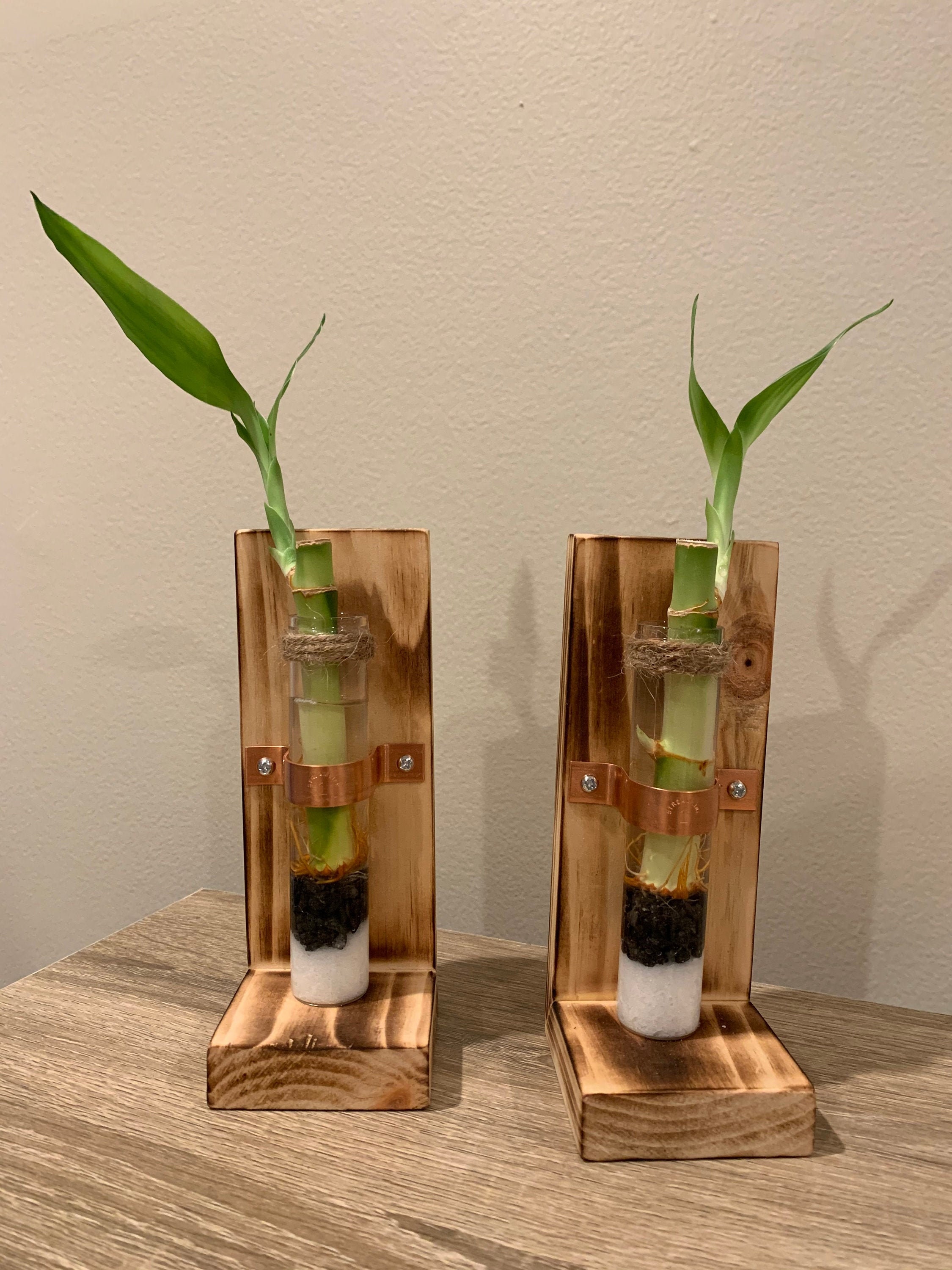 Lucky Bamboo Plant Holder Propagation Stand Book Ends Handmade Rustic