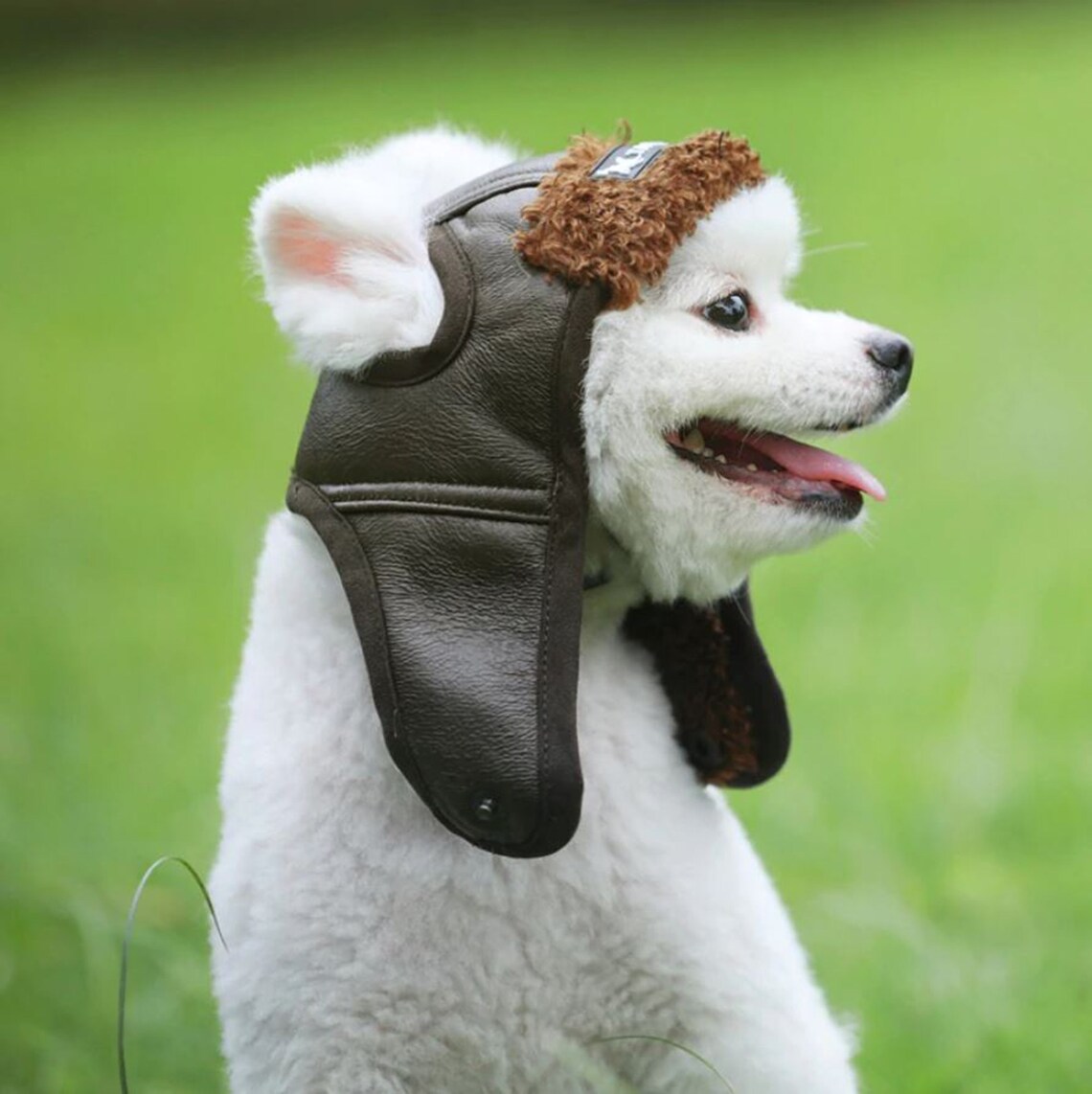 Warm Dog Pilot Hat Leather Pet Dog Cap Etsy