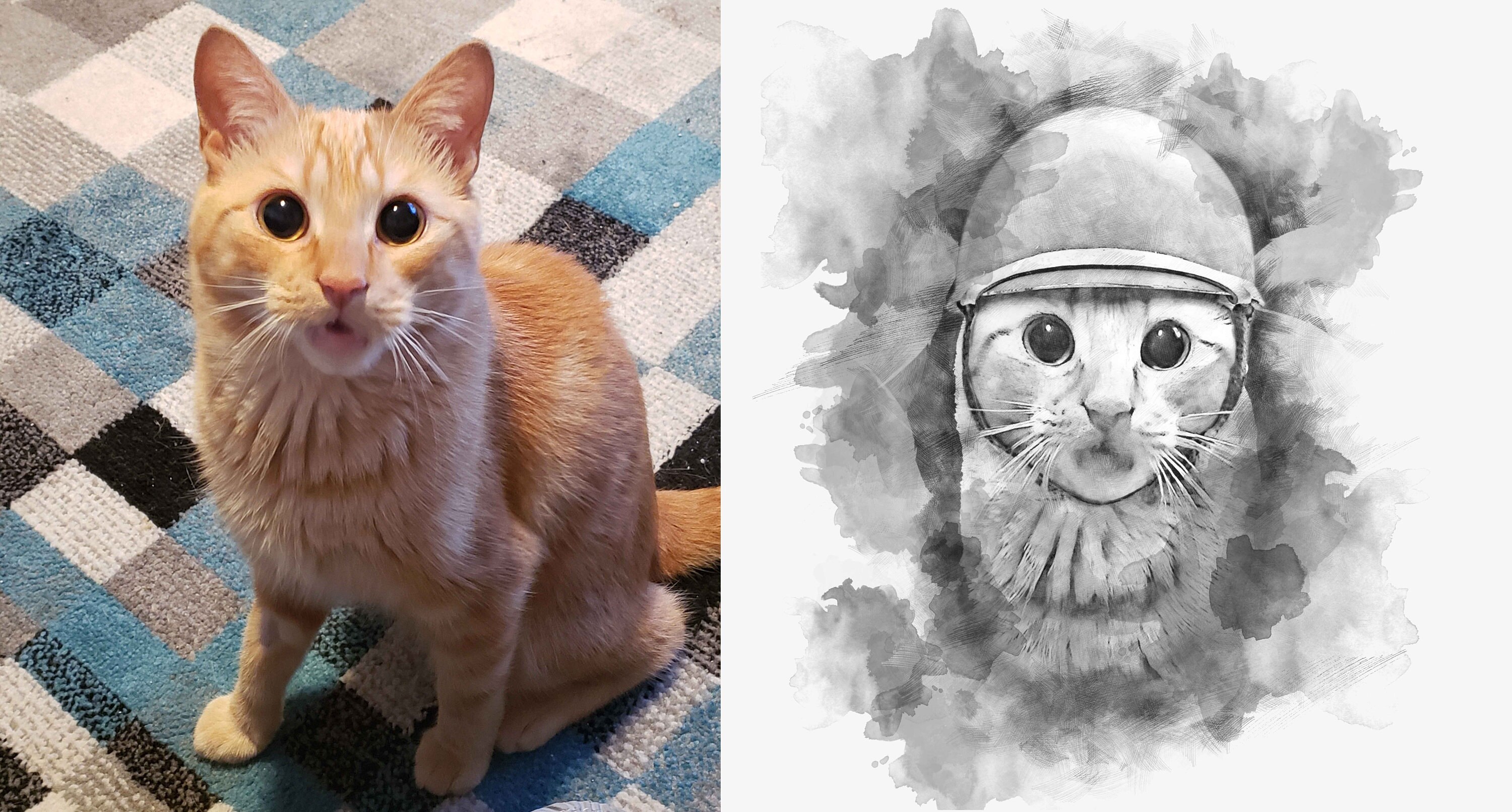 Cadeau Personnalisé de Dessin d'animal Familier | Illustration Des Chiens et Chats| Croquis Pour Ani