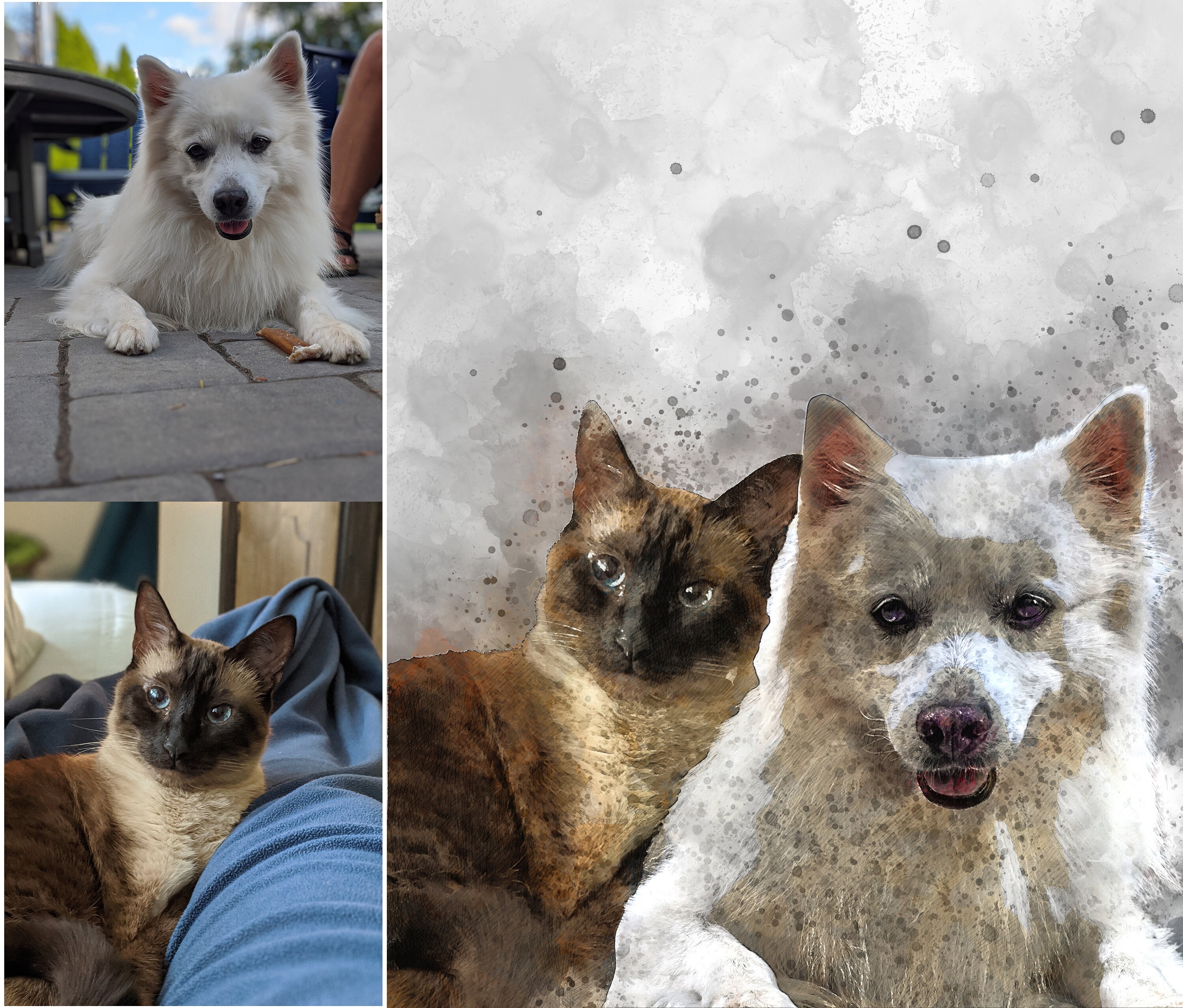 Cadeau Personnalisé de Dessin d'animal Familier | Illustration Des Chiens et Chats| Croquis Pour Ani