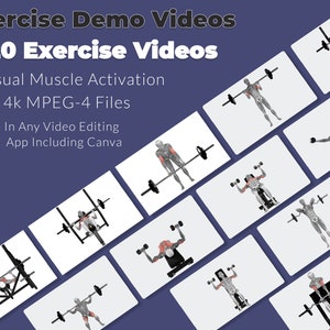 3d Anatomy Exercise Demo Videos - MPEG-4 Version