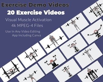 3d Anatomy Exercise Demo Videos - MPEG-4 Version