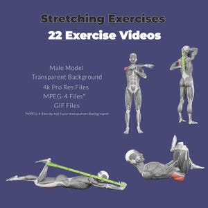 以下が含まれることがあります： 3D解剖学的モデルを使用した22本のStretching Exercisesエクササイズ動画のデジタルコレクション。4k Pro Res、MPEG-4、GIFファイルが含まれ、透明な背景オプションがあります。グラフィックは筋肉の解剖学を灰色で示しています。