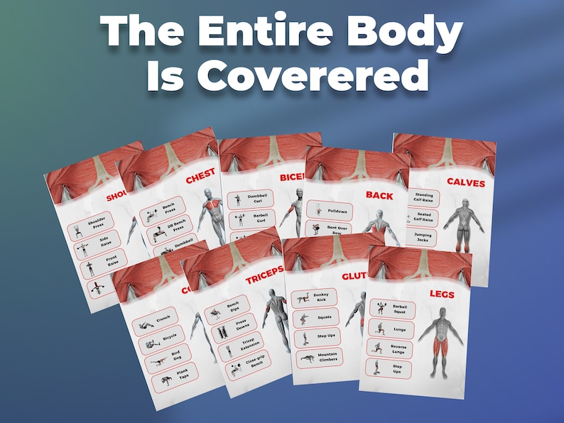 Muscle Chart & Exercise Instruction - Canva - Etsy