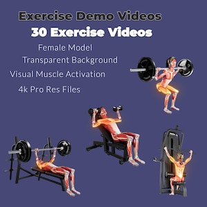 May include: A collection of 30 exercise demo videos featuring a female model with transparent background and visual muscle activation. The videos are in 4k Pro Res format.