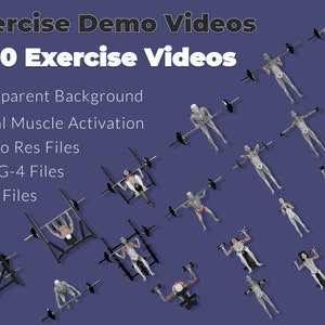 May include: A collage of 20 exercise videos featuring a transparent background, visual muscle activation, and 4k pro res files. The videos are available in MPEG-4 and PNG formats.