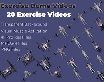 3d Anatomy Exercise Demo Videos