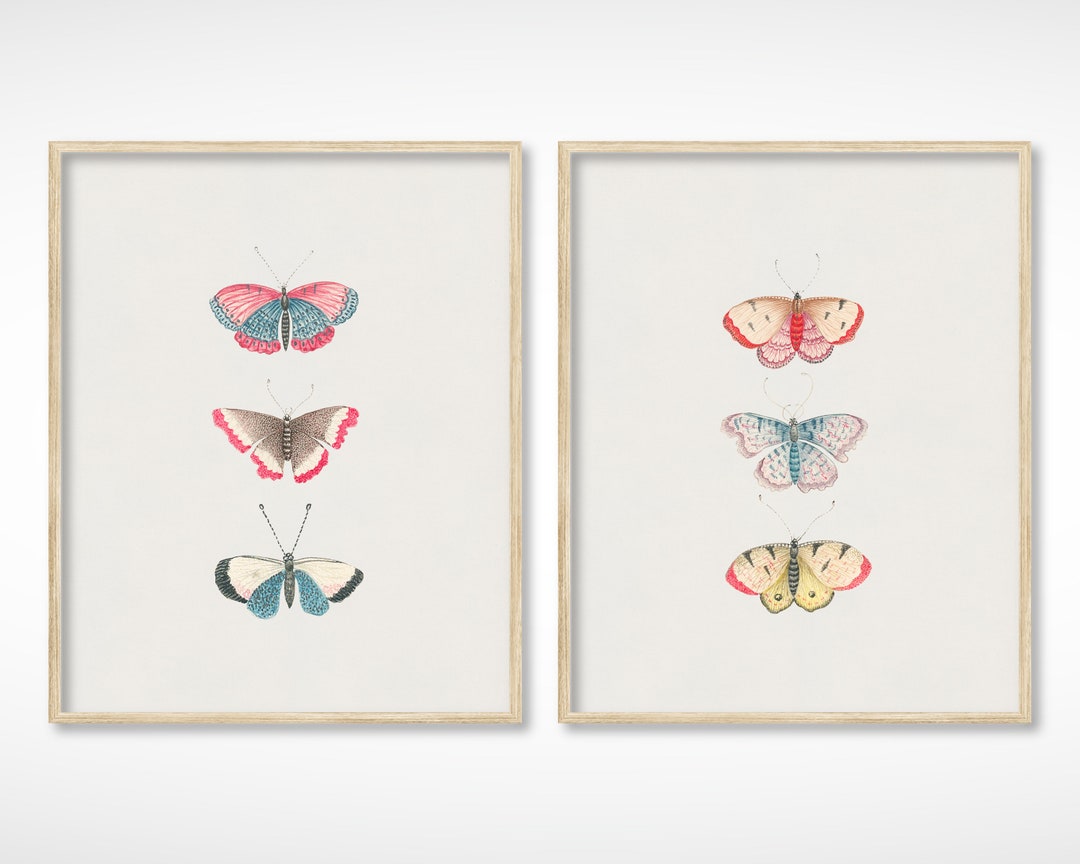 Vintage Butterfly Illustration Art Print Set of 2 | Monarch Butterfly ...