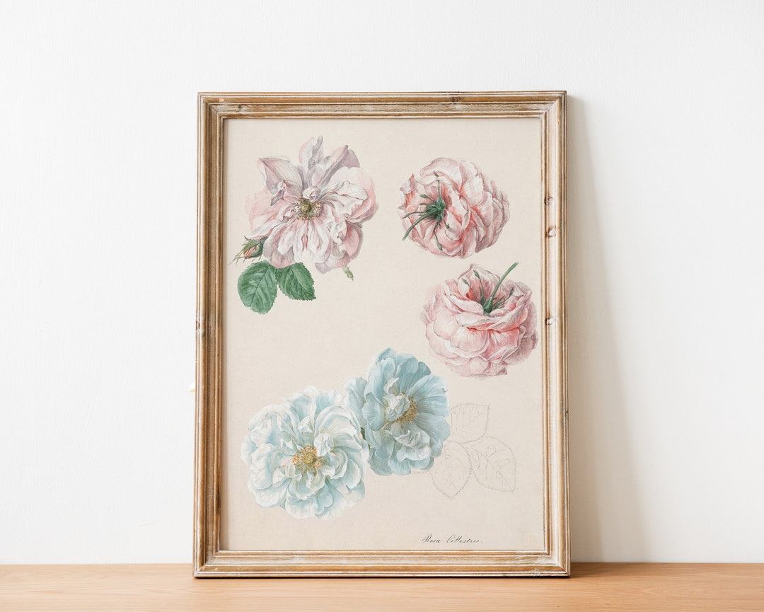 Pink Roses French Antique Country Cottage Flower Art Painting, Garden ...