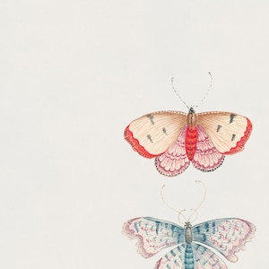 Vintage Butterfly Illustration Art Print Set of 2 | Monarch Butterfly ...