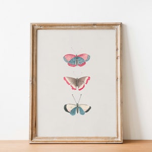 Vintage Butterfly Illustration Art Print Set of 2 | Monarch Butterfly ...
