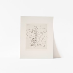 May include: A black and white line drawing of a stylised flower with a long stem and multiple petals. The flower is depicted with a swirling, organic design.