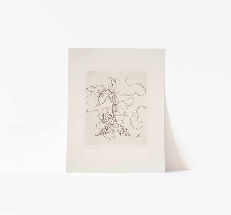 May include: A black and white line drawing of a stylised flower with a long stem and multiple petals. The flower is depicted with a swirling, organic design.