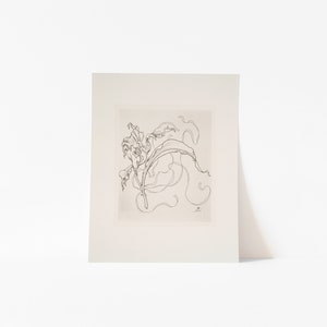 French Antique Black and White Flower Sketch Print Set of 4 | Vintage French Art Botanical Drawings | Digital Print image 5