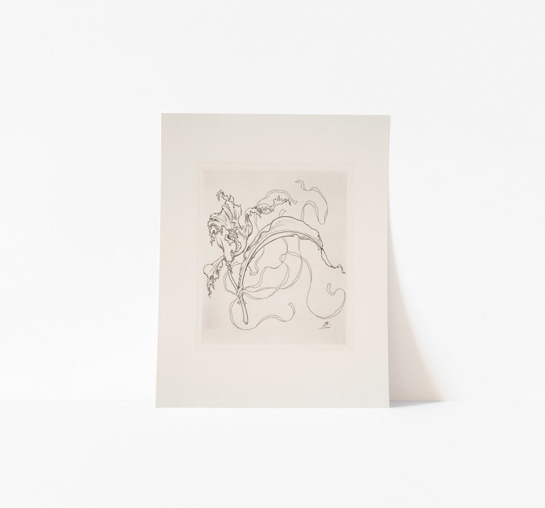 French Antique Black and White Flower Sketch Print Set of 4 | Vintage French Art Botanical Drawings | Digital Print image 5
