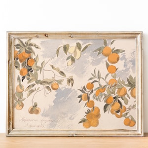 Vintage Orange Tree Botanical Painting | Antique Kitchen Art Still Life Painting | Printable Art | Wall Art