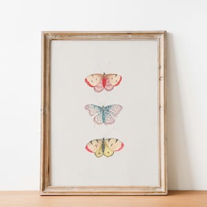 Vintage Butterfly Illustration Art Print Set of 2 | Monarch Butterfly ...