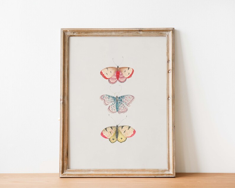 Vintage Butterfly Illustration Art Print Set of 2 | Monarch Butterfly ...