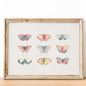 Vintage Butterfly Illustration Art Print | Monarch Butterfly | Girls Room Nursery Vintage Art | Boho Art | Printable DIGITAL PRINT Wall Art