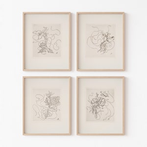 May include: Set of four black and white line drawings of flowers in simple frames. Each drawing features a different floral arrangement with delicate lines and swirls.