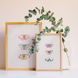 Vintage Butterfly Illustration Art Print Set of 2 | Monarch Butterfly ...