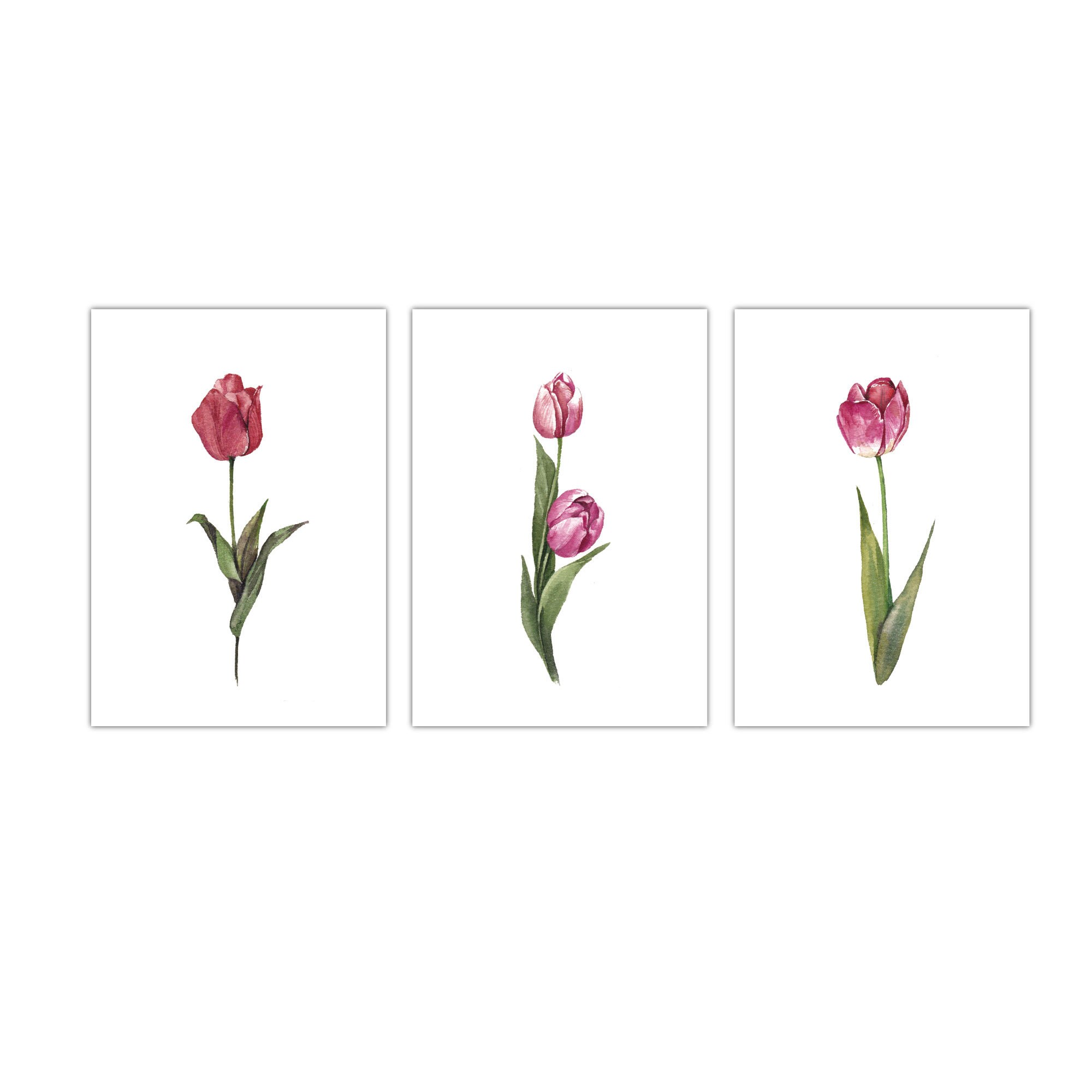 Tulip WAll Art, Small Green Botanicals Set of 3 Wall Art, Flower Wall