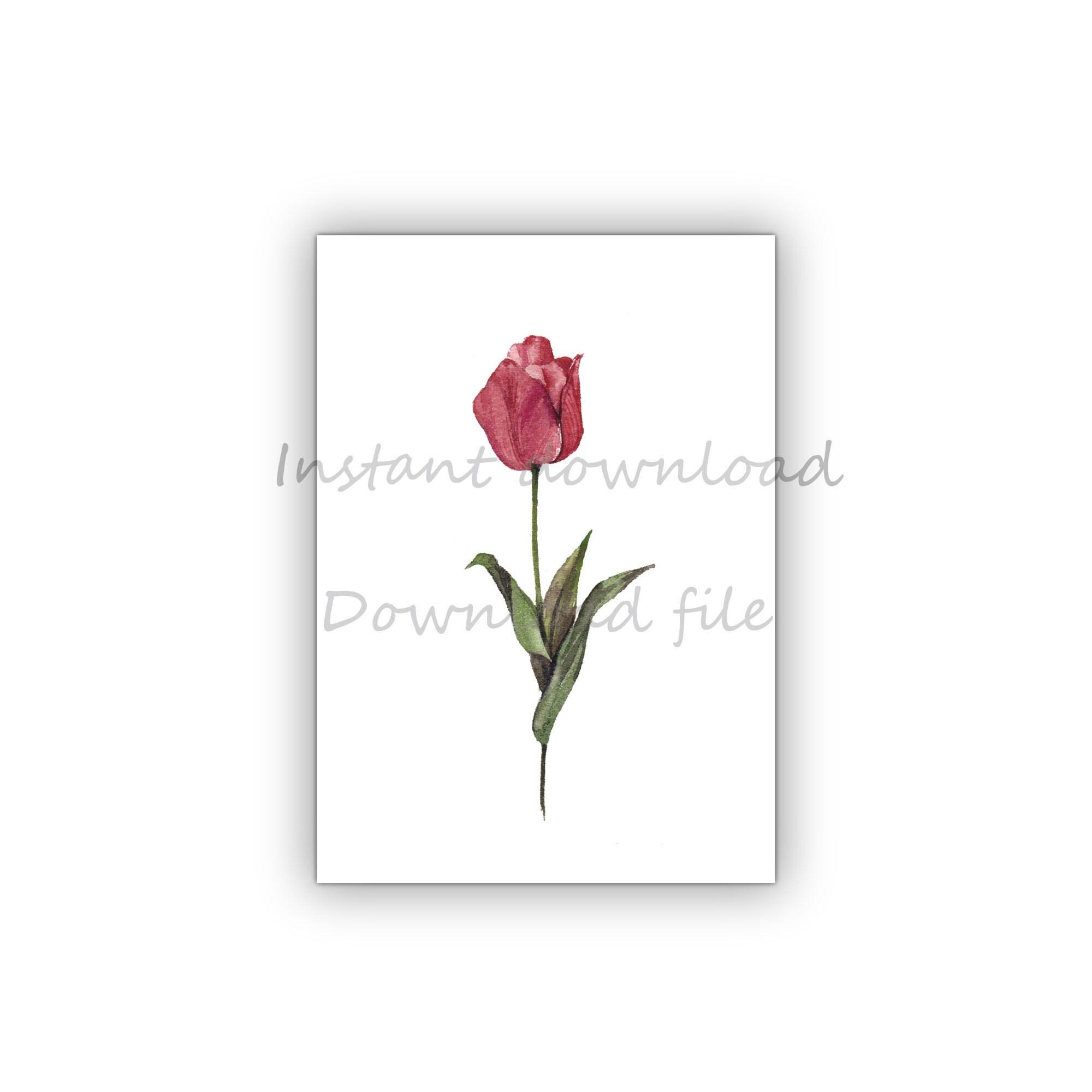 Tulip WAll Art, Small Green Botanicals Set of 3 Wall Art, Flower Wall