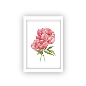 Peony imprimible, Arte de la pared de la peonía, Arte de la pared de la acuarela, Descarga instantánea, Impresiones florales, Arte de la pared del bricolaje, Impresiones digitales, Impresión floral rosa, Arte