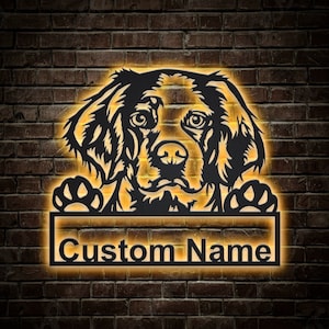 Personalized Brittany Spaniel Dog Metal Sign With LED Lights | Custom Brittany Spaniel Dog Metal Sign | Birthday Gift | Pets Gift